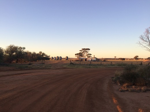 Hearts Across Australia Week 01 photo from 21 May 2015.