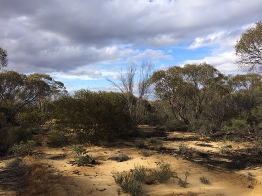 Hearts Across Australia Week 01 photo from 22 May 2015.