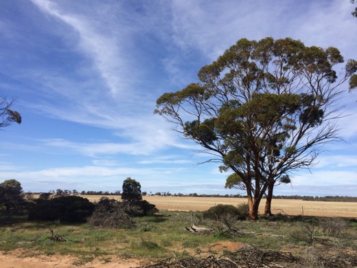 Hearts Across Australia Week 01 photo from 22 May 2015.
