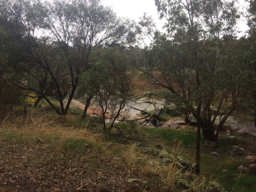 Hearts Across Australia Week 01 photo from 17 May 2015.