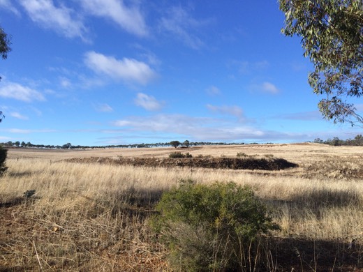 Hearts Across Australia Week 01 photo from 18 May 2015.
