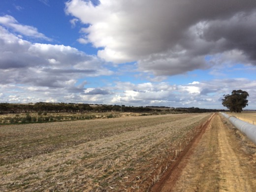 Hearts Across Australia Week 01 photo from 18 May 2015.