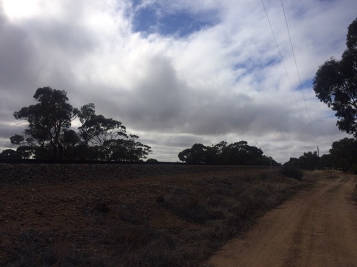 Hearts Across Australia Week 01 photo from 19 May 2015.