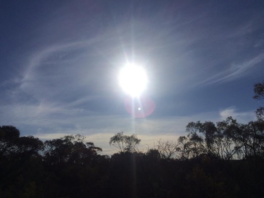 Flies gathered during Day 8 of Hearts Across Australia.