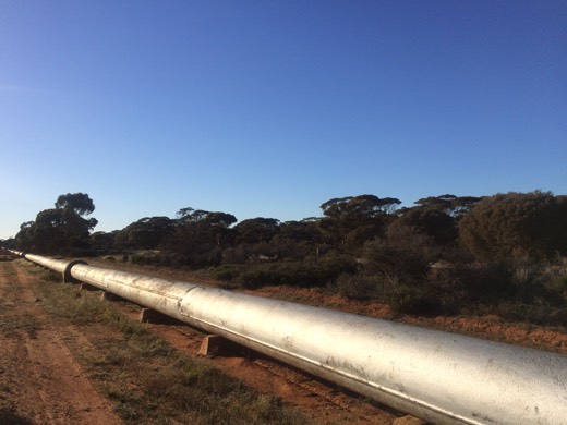 Hearts Across Australia Week 02 photo from 24 May 2015.