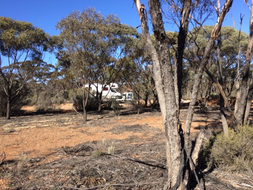 Hearts Across Australia Week 02 photo from 24 May 2015.
