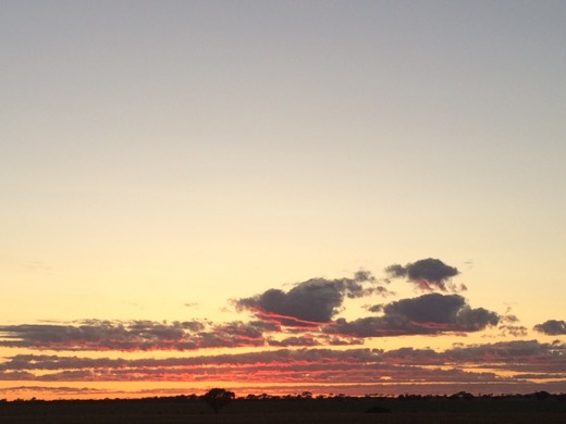 Hearts Across Australia Week 02 photo from 25 May 2015.