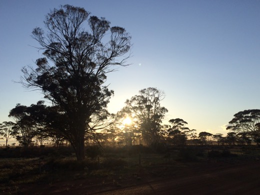 Hearts Across Australia Week 02 photo from 25 May 2015.