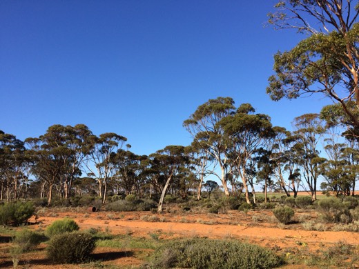 Hearts Across Australia Week 02 photo from 25 May 2015.