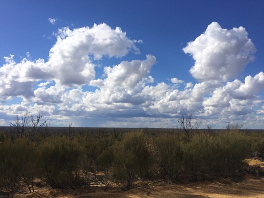 Hearts Across Australia Week 02 photo from 25 May 2015.