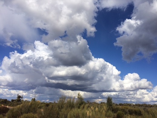 Hearts Across Australia Week 02 photo from 25 May 2015.