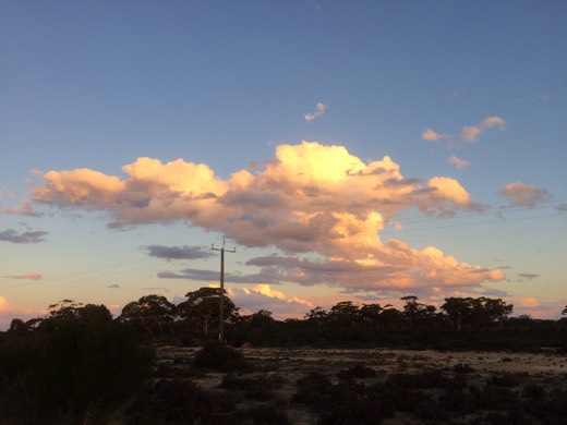 Hearts Across Australia Week 02 photo from 25 May 2015.