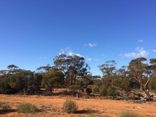 Hearts Across Australia Week 02 photo from 26 May 2015.