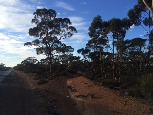 Hearts Across Australia Week 02 photo from 27 May 2015.