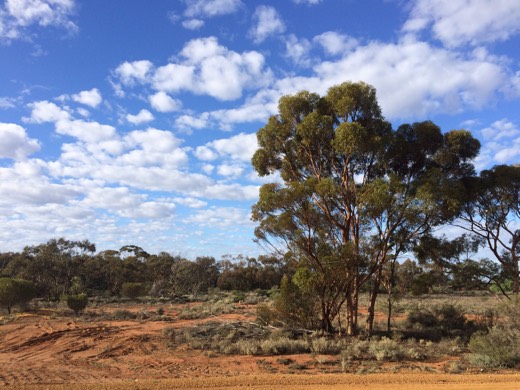 Hearts Across Australia Week 02 photo from 28 May 2015.