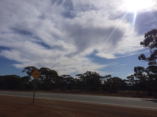 Hearts Across Australia Week 02 photo from 28 May 2015.