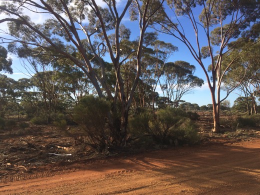 Hearts Across Australia Week 02 photo from 28 May 2015.