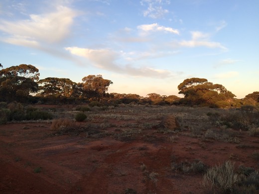 Hearts Across Australia Week 02 photo from 28 May 2015.