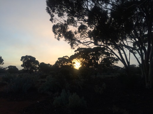 Hearts Across Australia Week 02 photo from 29 May 2015.