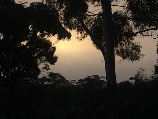 Hearts Across Australia Week 02 photo from 29 May 2015.