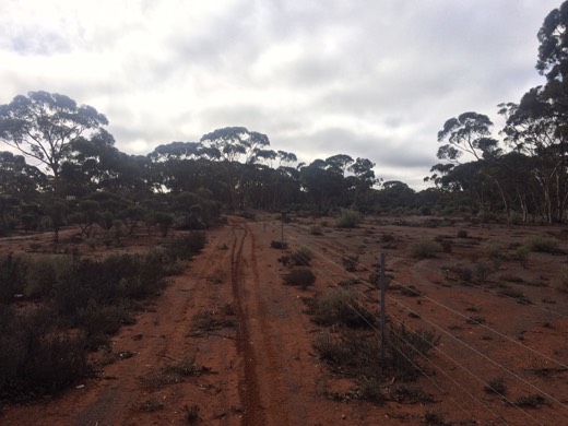 Hearts Across Australia Week 02 photo from 29 May 2015.
