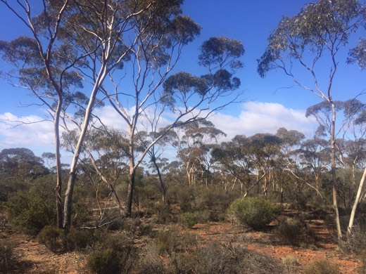 Hearts Across Australia Week 02 photo from 29 May 2015.