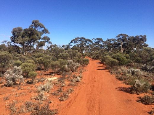 Hearts Across Australia Week 02 photo from 29 May 2015.