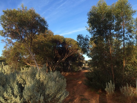 Hearts Across Australia Week 03 photo from 1 Jun 2015.