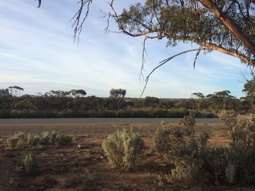 Hearts Across Australia Week 03 photo from 1 Jun 2015.