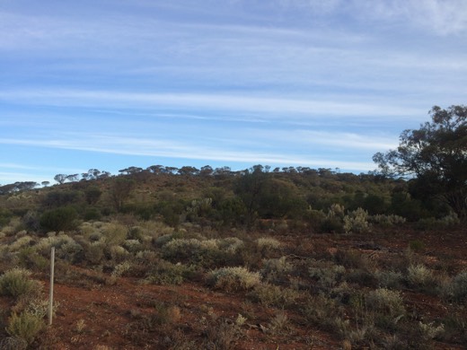 Hearts Across Australia Week 03 photo from 1 Jun 2015.