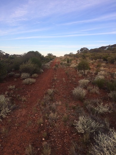 Hearts Across Australia Week 03 photo from 1 Jun 2015.