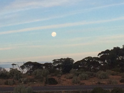 Hearts Across Australia Week 03 photo from 1 Jun 2015.