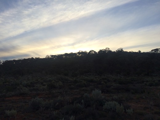 Hearts Across Australia Week 03 photo from 1 Jun 2015.