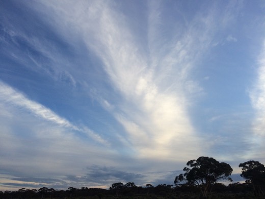 Hearts Across Australia Week 03 photo from 1 Jun 2015.