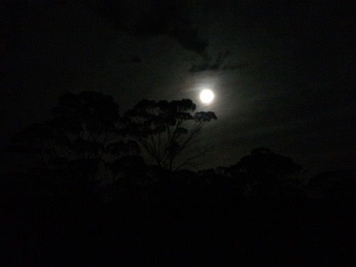 Hearts Across Australia Week 03 photo from 1 Jun 2015.