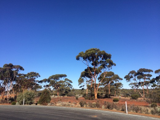 Hearts Across Australia Week 03 photo from 2 Jun 2015.