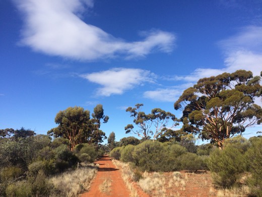 Hearts Across Australia Week 03 photo from 2 Jun 2015.