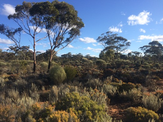 Hearts Across Australia Week 03 photo from 2 Jun 2015.