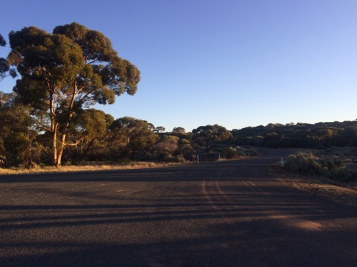 Hearts Across Australia Week 03 photo from 2 Jun 2015.