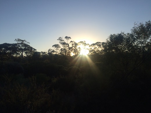 Hearts Across Australia Week 03 photo from 3 Jun 2015.