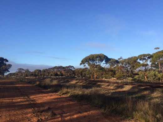 Hearts Across Australia Week 03 photo from 3 Jun 2015.