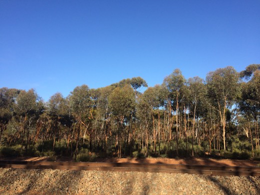 Hearts Across Australia Week 03 photo from 3 Jun 2015.