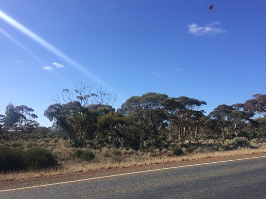 Hearts Across Australia Week 03 photo from 3 Jun 2015.