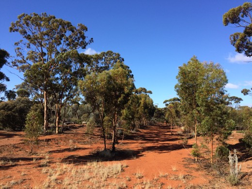 Hearts Across Australia Week 03 photo from 3 Jun 2015.