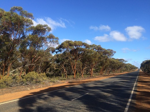 Hearts Across Australia Week 03 photo from 3 Jun 2015.
