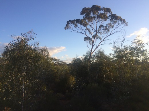 Hearts Across Australia Week 03 photo from 3 Jun 2015.