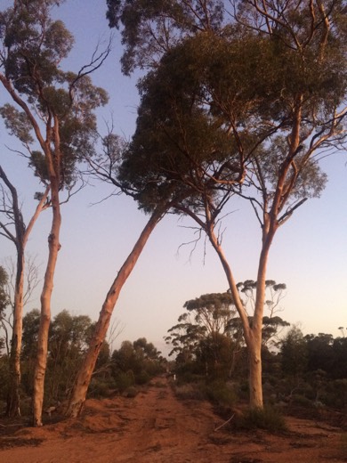 Hearts Across Australia Week 03 photo from 3 Jun 2015.