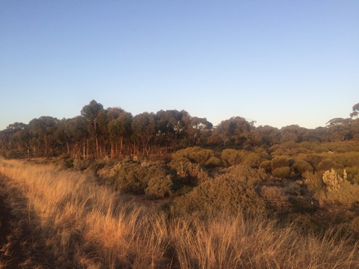 Hearts Across Australia Week 03 photo from 4 Jun 2015.