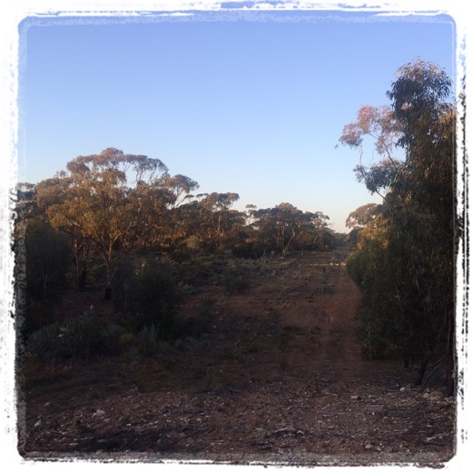 Hearts Across Australia Week 03 photo from 4 Jun 2015.