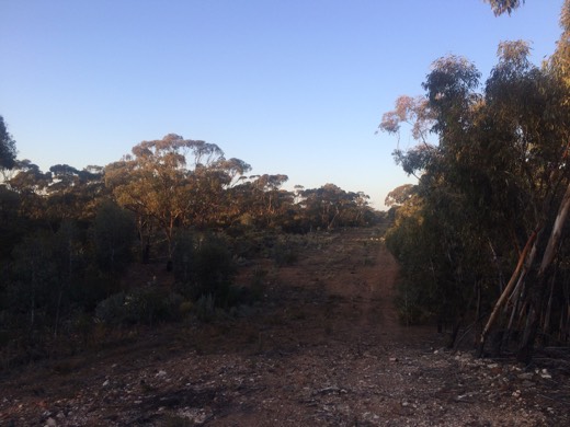Hearts Across Australia Week 03 photo from 4 Jun 2015.